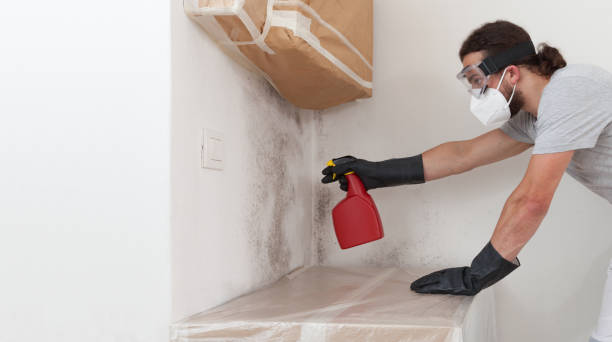 Professional Crawl Space Mold Removal technician working in Eure, NC